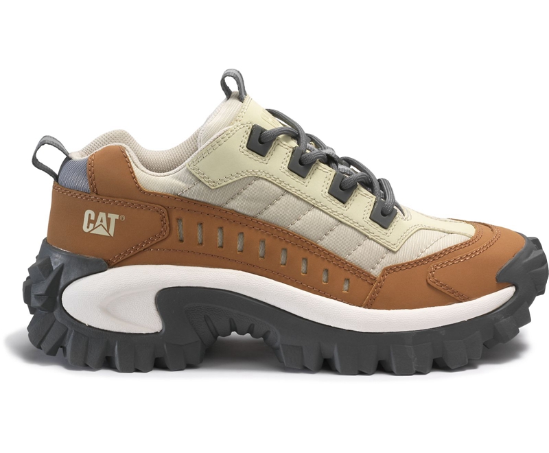 Zapatos Casuales Caterpillar Intruder Hombre Multicolor | SFAWH-5801