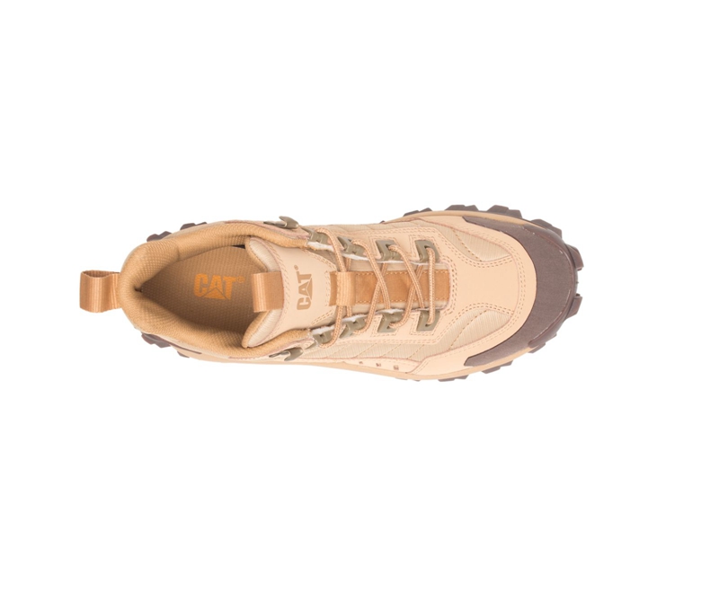 Tenis Caterpillar Intruder Mid Hombre Beige Oscuro | XFVYA-5927