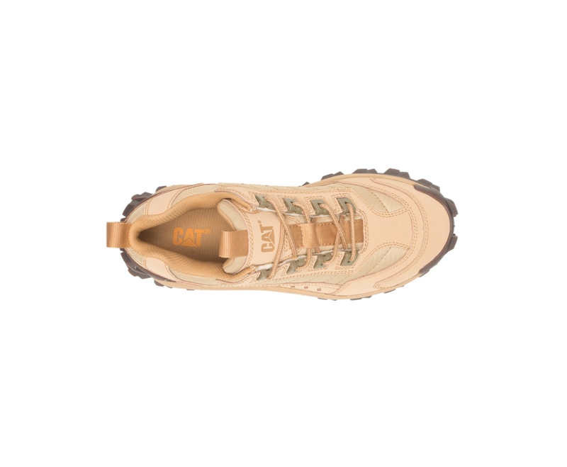 Zapatos Casuales Caterpillar Intruder Mujer Beige Oscuro | DBACY-1360