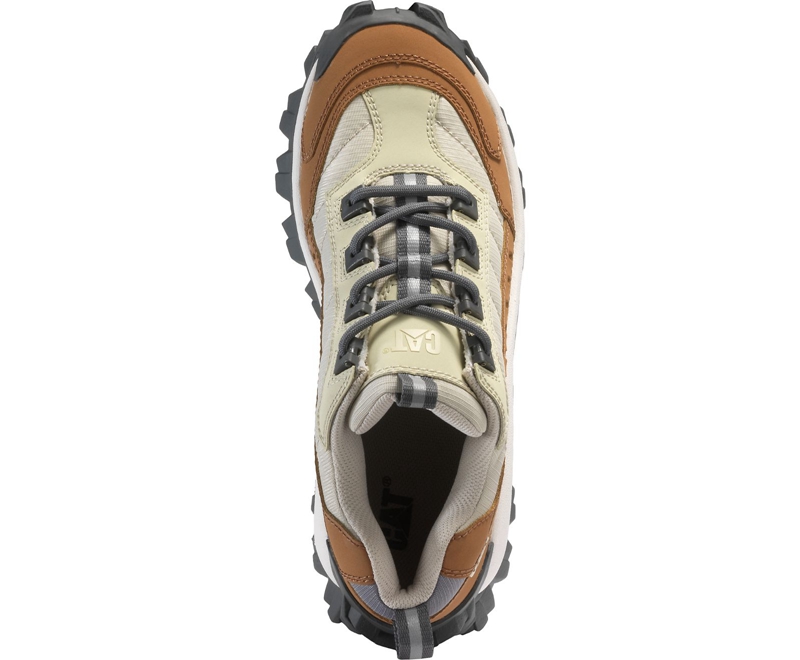 Zapatos Casuales Caterpillar Intruder Mujer Marrom Beige | EHSAZ-0395